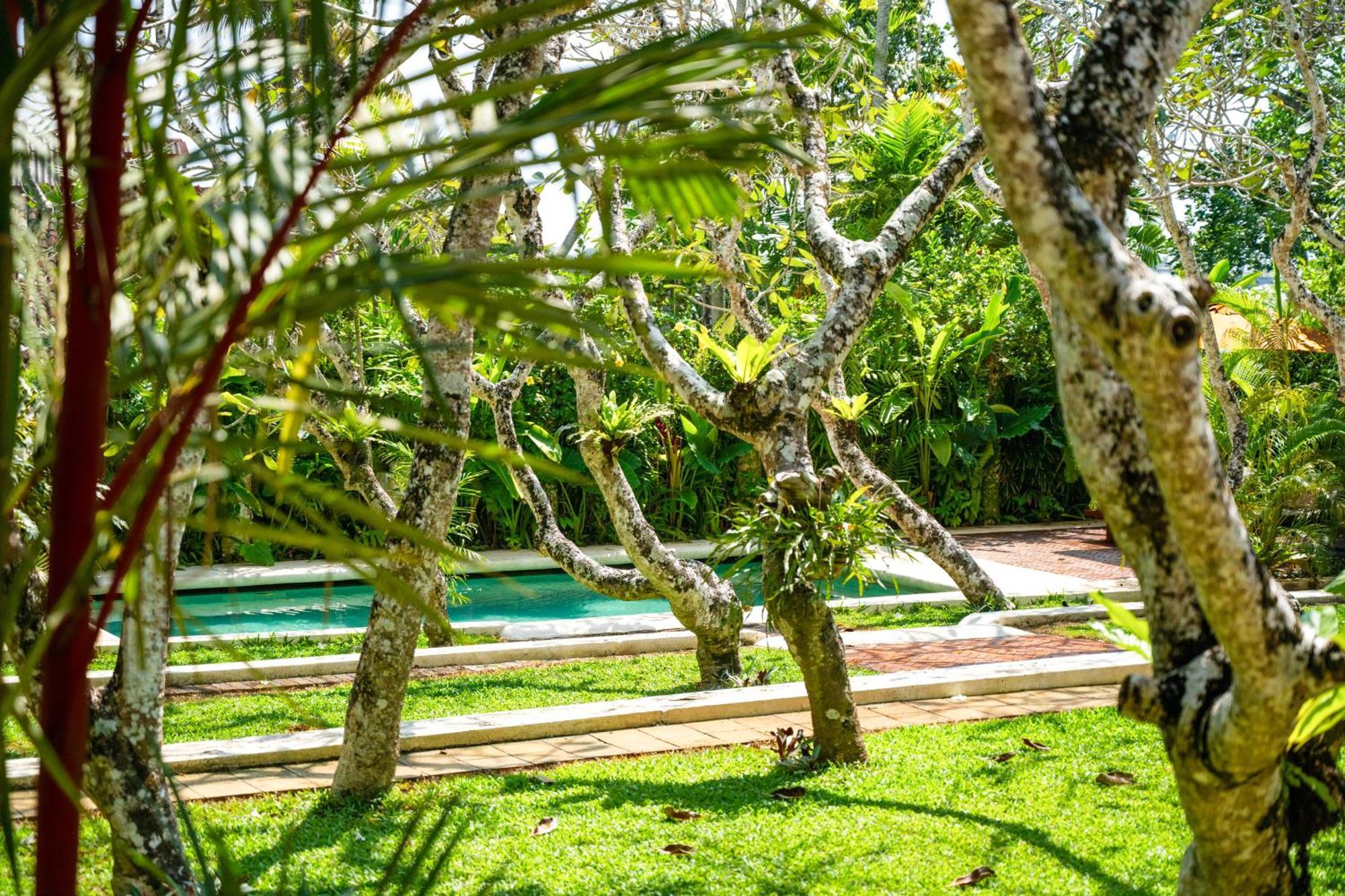 The Sun House Hotel Galle Kültér fotó